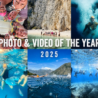 18f31c41f456c9d05846d956c7d3034be8def02b 4a60699c2cf39ca682bffd12f516400a27151cfb what s new 2026 thumb