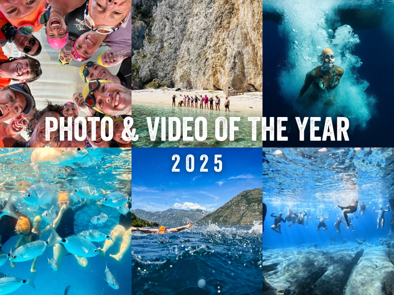 277b4017121588ff104d0c063f543297f9961605 4a60699c2cf39ca682bffd12f516400a27151cfb what s new 2026 small