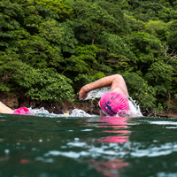 047508fc8eddcb88803370458c17779e84f3a36b 0889d47d32cc35e82061f881ce5486d2753b9a9f newcomers   blog thumb