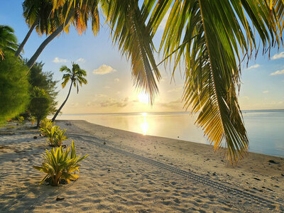 8a85d1a6dfd373d0db9711048aee249773980843 resort tavae small