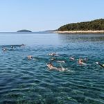 Dalmatian coast 12