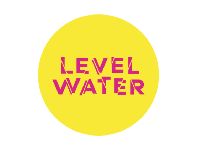 Level Water logo