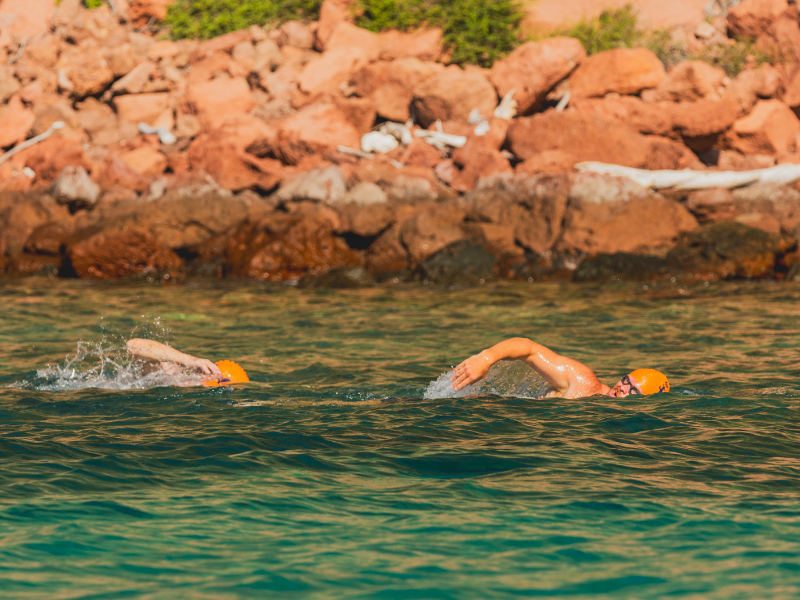 Swimmers comb coastline