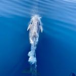 Kornati islands 2024   sheetal sharma 4