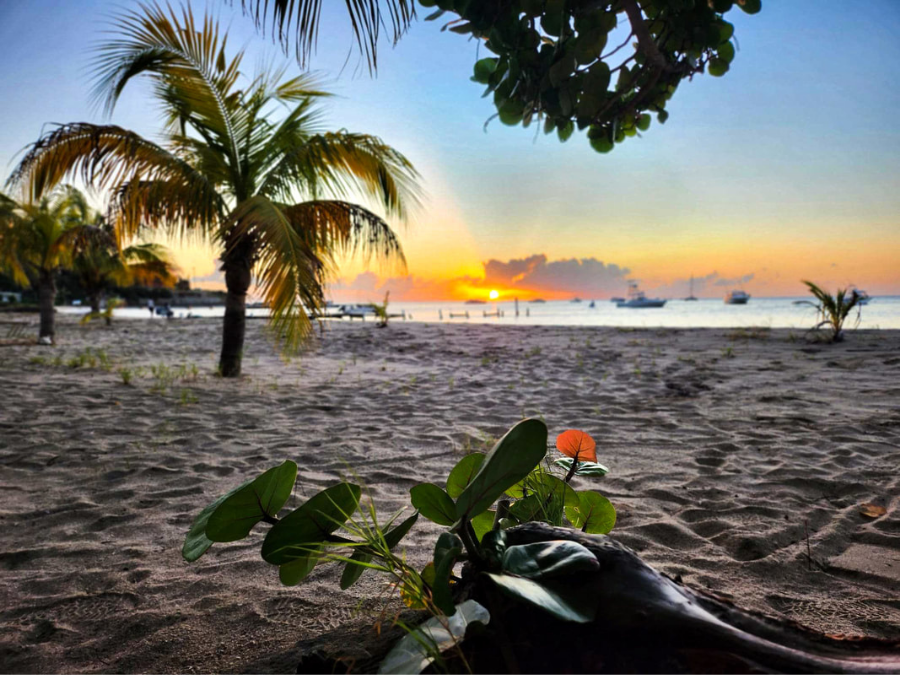 best trips for non-swimmers