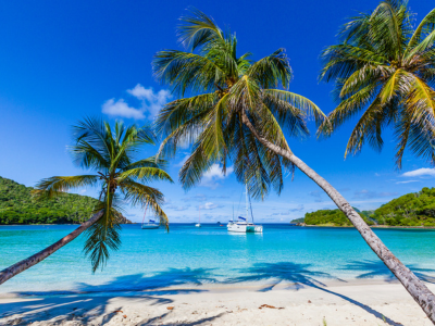 Palm-edged white sands