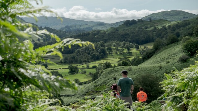 Lakes & Tarns Lake District