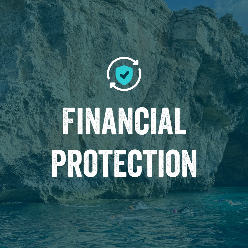 financial protection icon