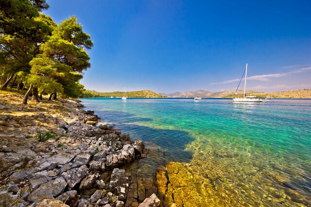 Dalmatian Coast Short Swims