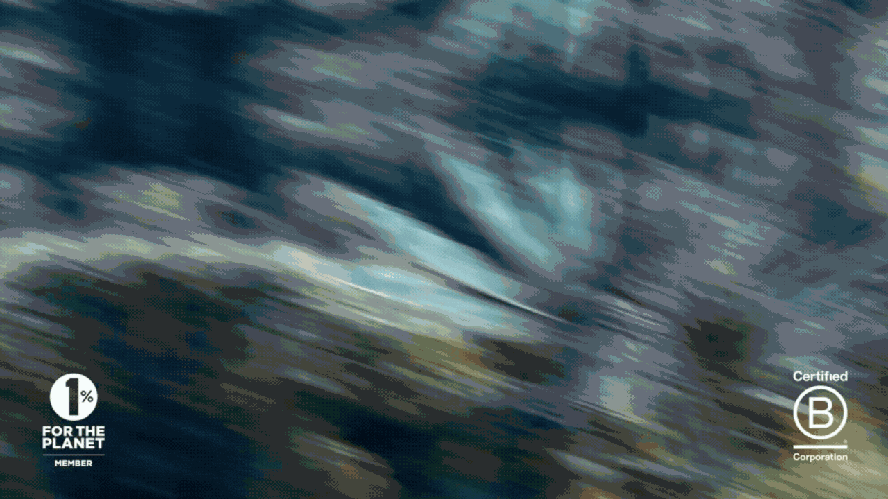 WILDLIFE GIF