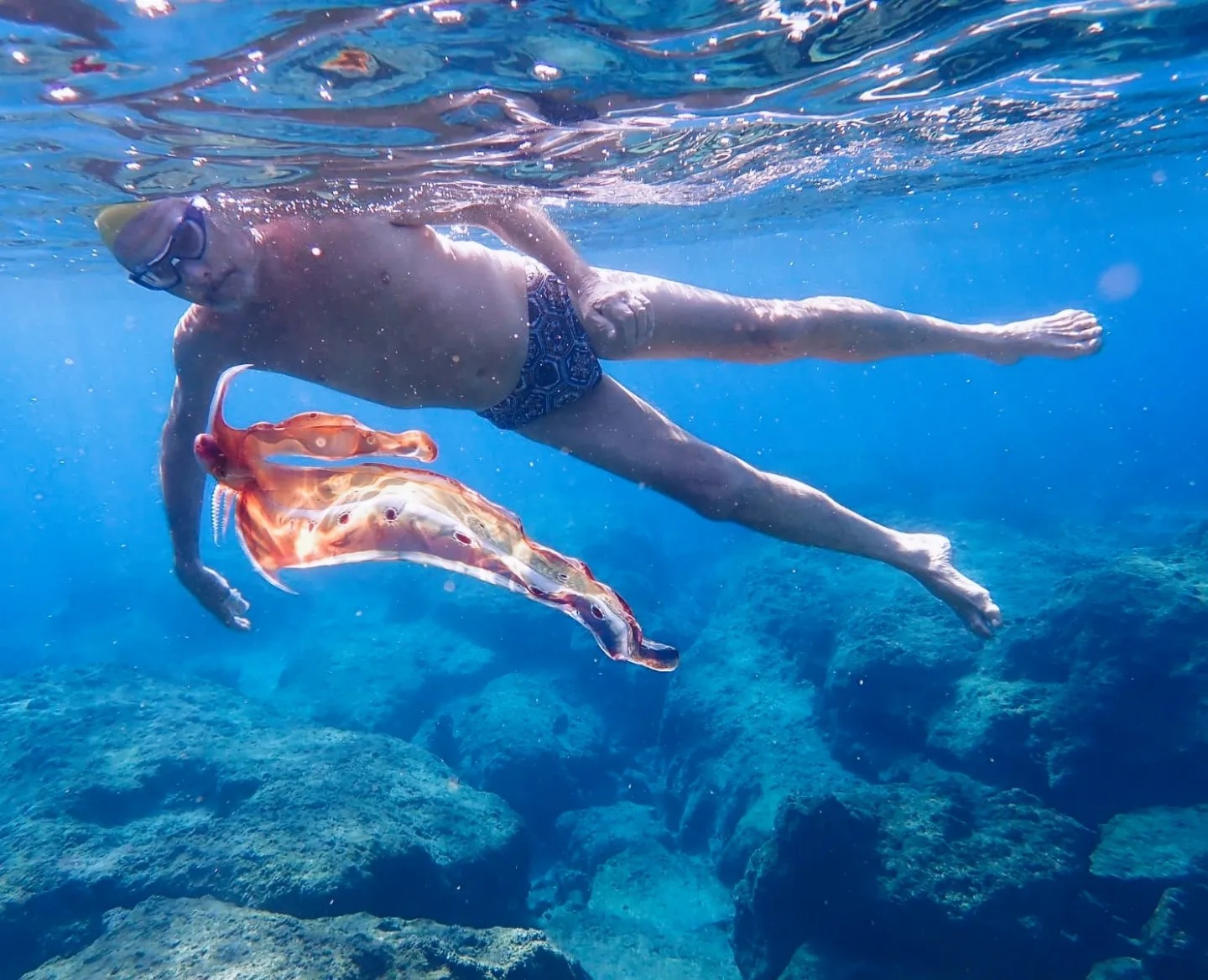 Blanket Octopus