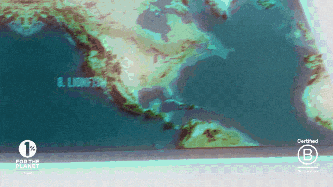 WILDLIFE GIF