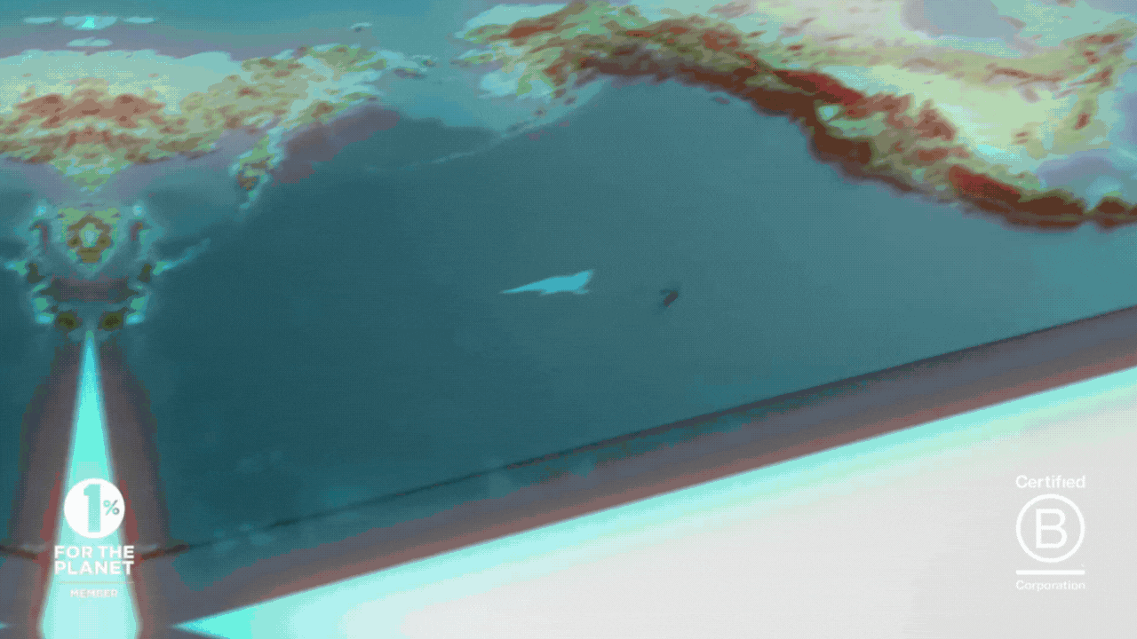 WILDLIFE GIF