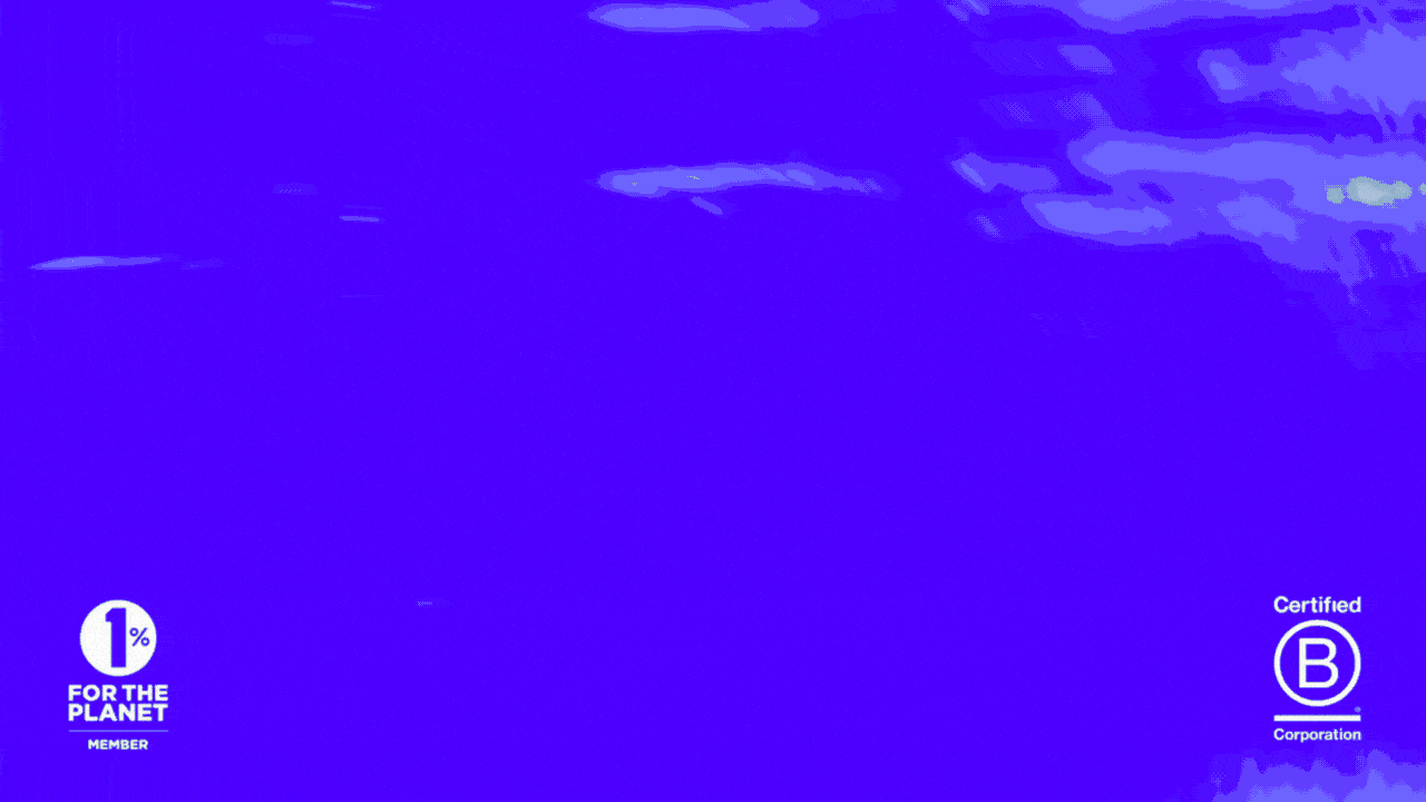 WILDLIFE GIF