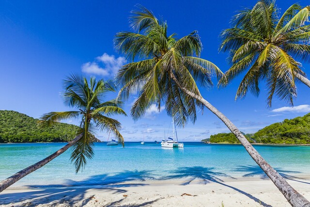 St Vincent and the Grenadines