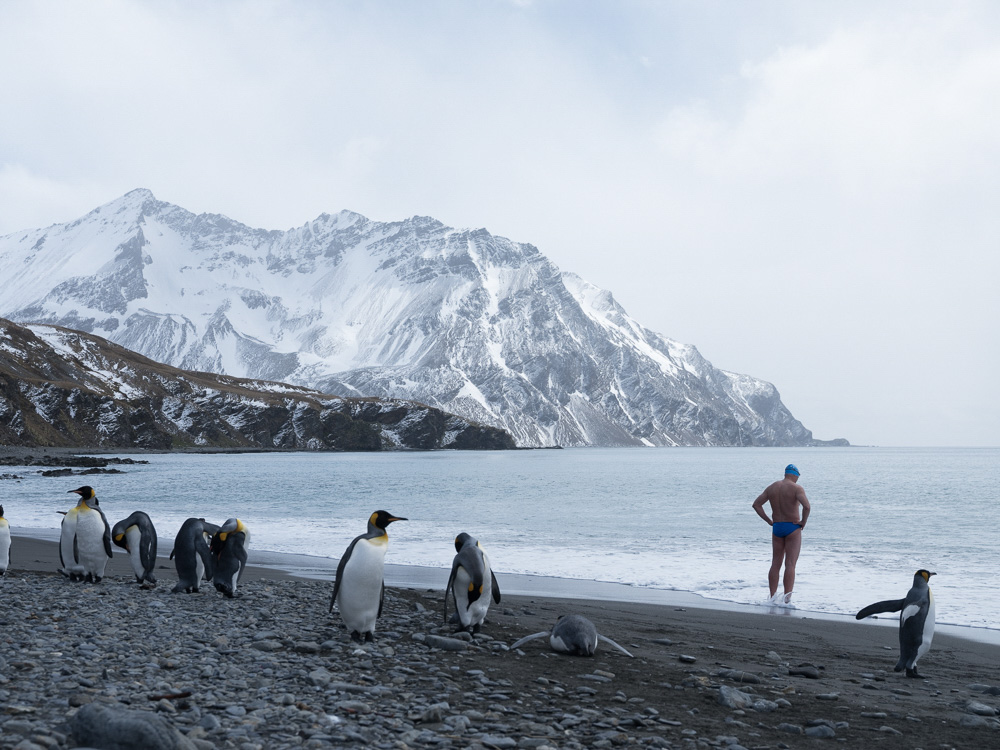 lewispugh