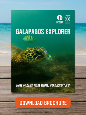 Download Brochure