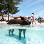 Bahamas 2025 thomas oliver 295