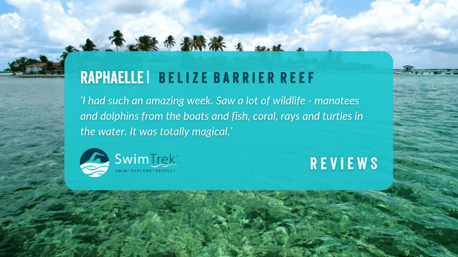 Belize Barrier Reef reviews