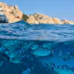 Emerald coast 2025   tatjana jesgarz 2