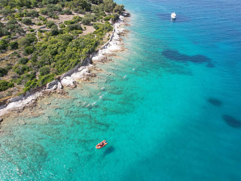 adriatic swims