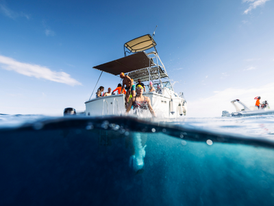 Fb8a877b99f47788fb9753bea6519cd096a04006 uploads 2funprocessed 2f1761690878487 s0dzkbb3urc 2b71d80879027002107765f372ecba1f 2fegadi islands   scott 11