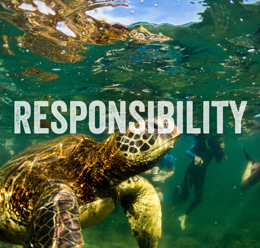 financial protection icon