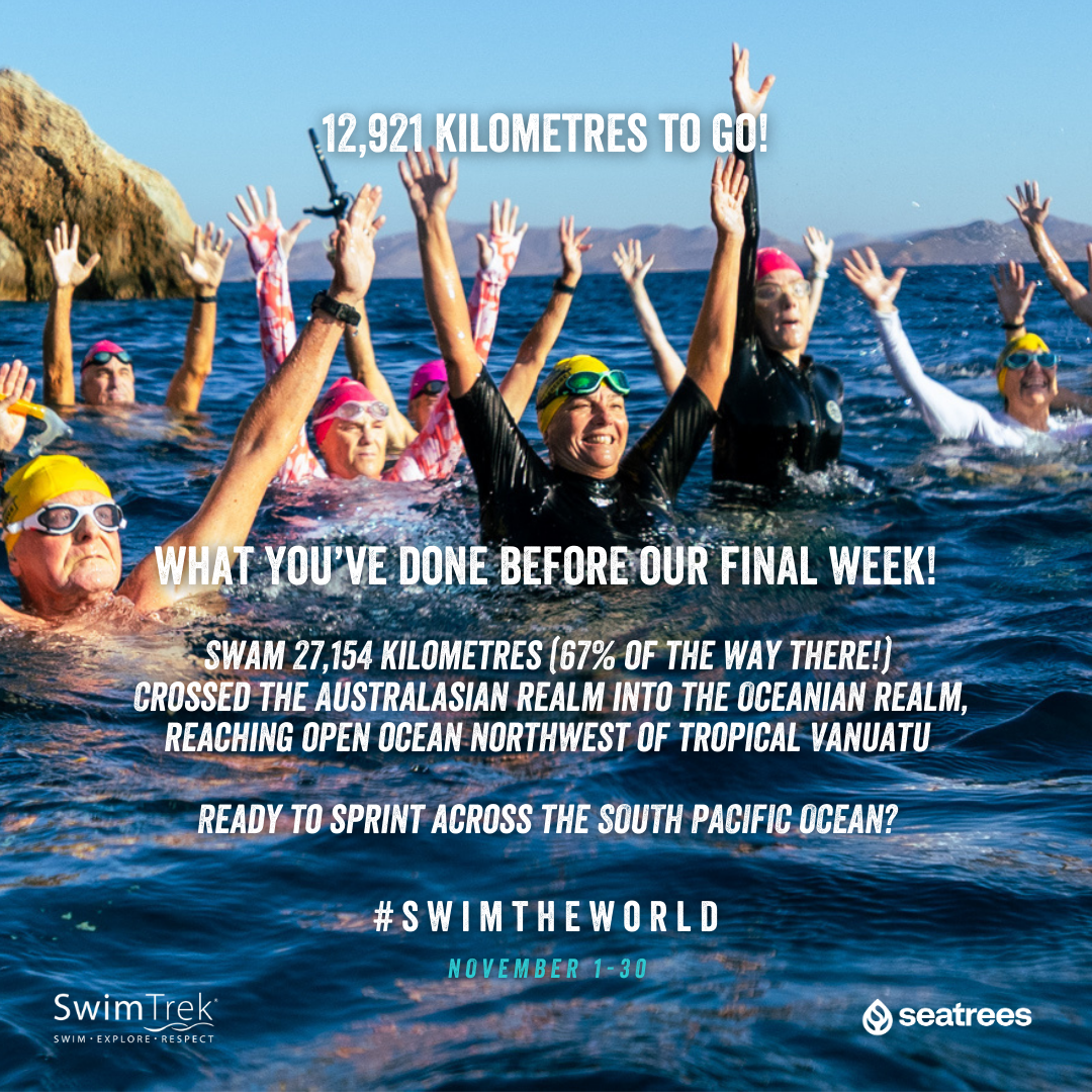 SwimTrek 60k 2025 - Swim the World banner.png