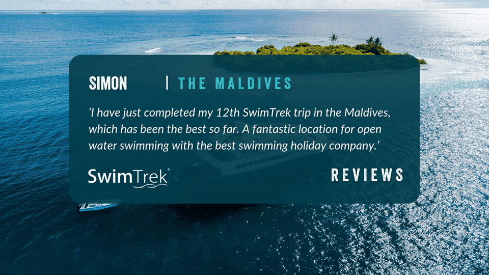 Maldives reviews