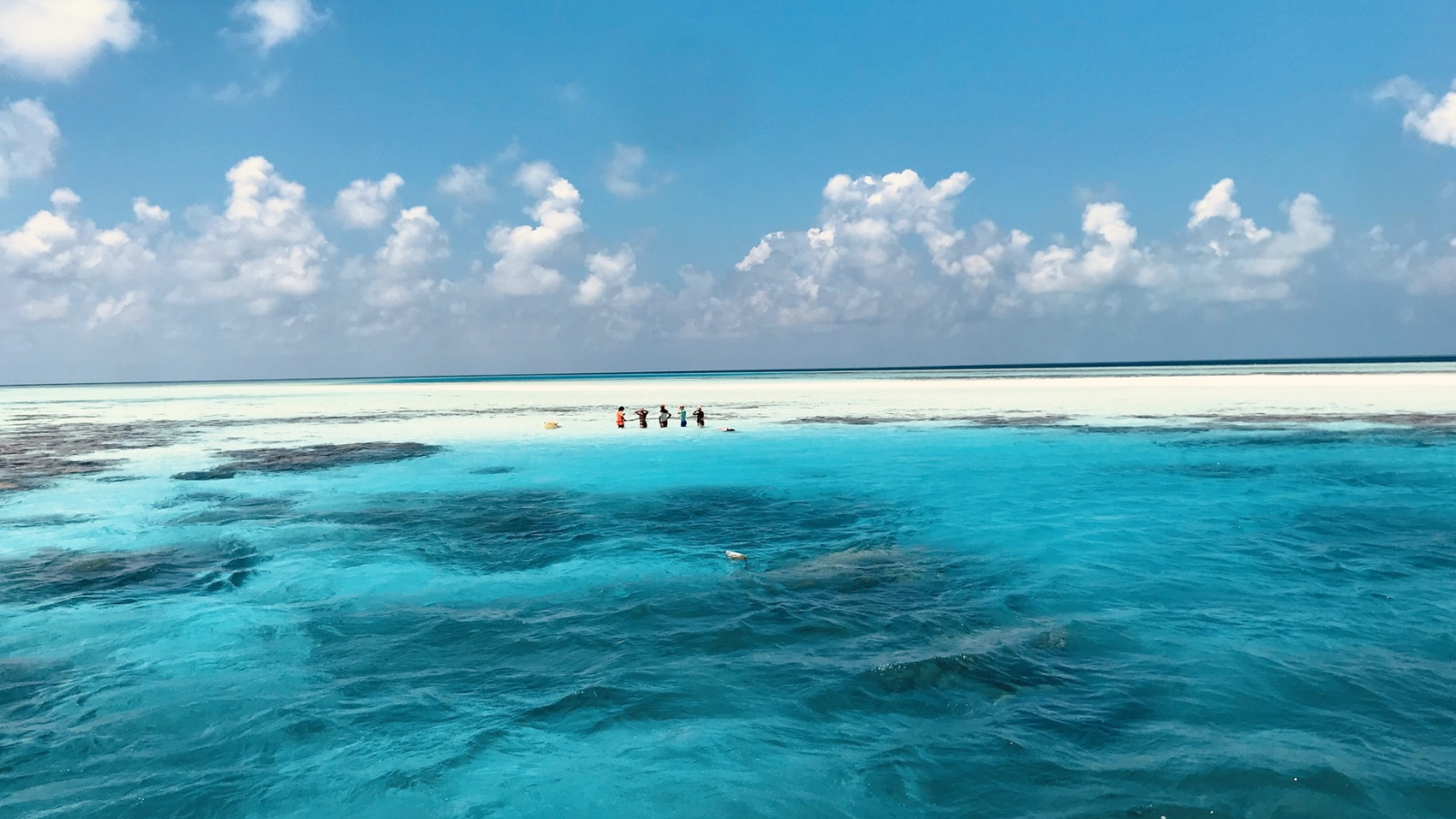 maldives open water swimming