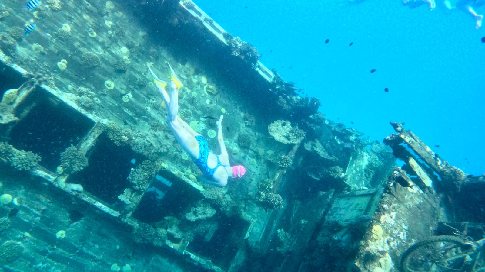 maldives open water swimming