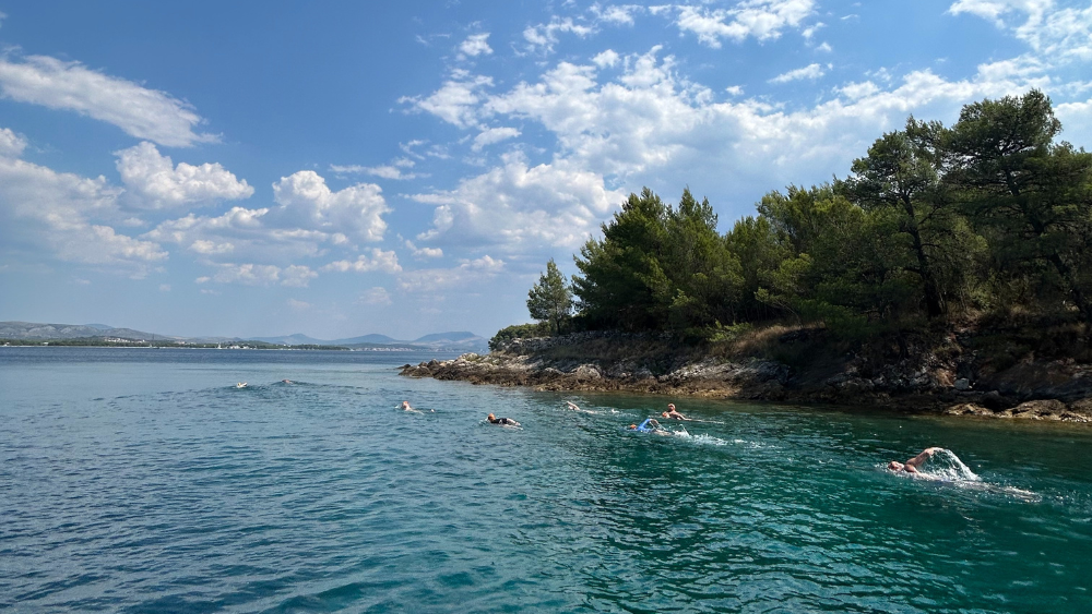 Dalmatian Coast Short Swims