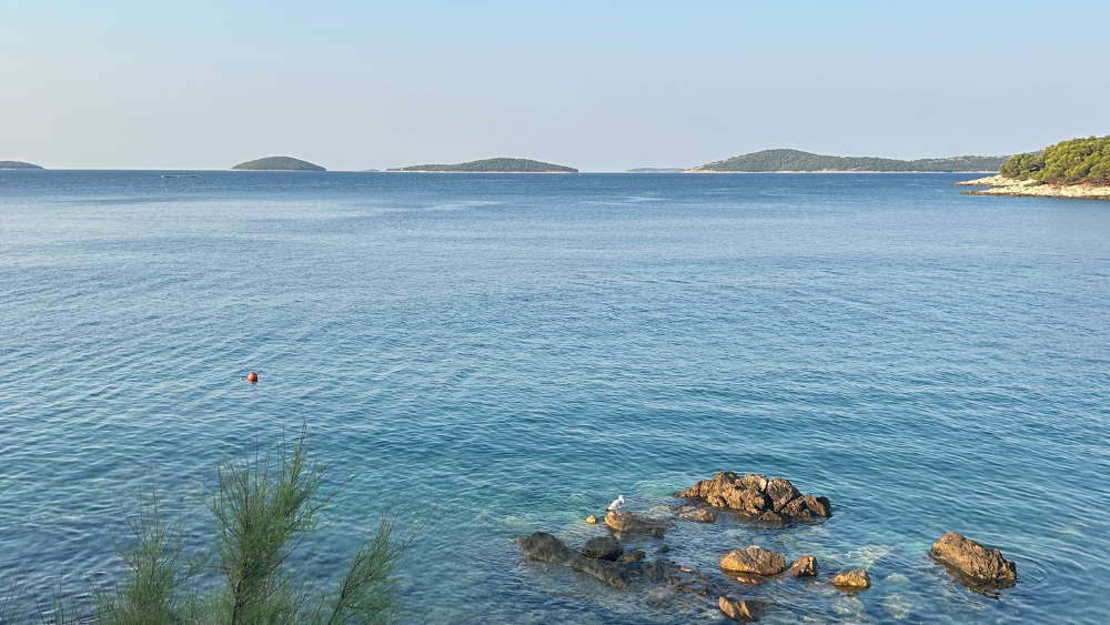 Dalmatian Coast Croatia