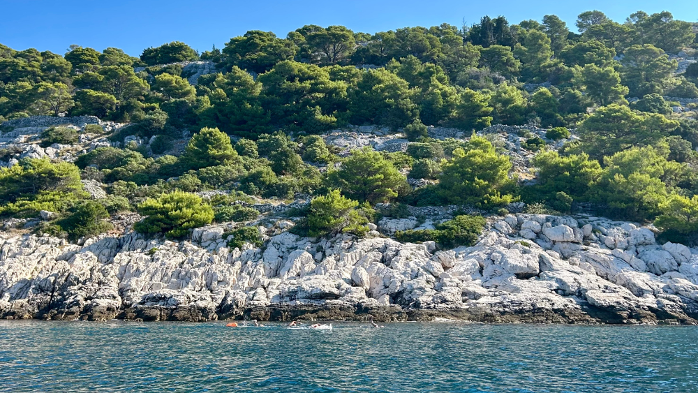 Dalmatian Coast Croatia