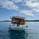 Dalmatian coast 2025   fern 2