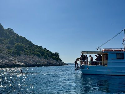 Dalmatian coast 2025   fern 27