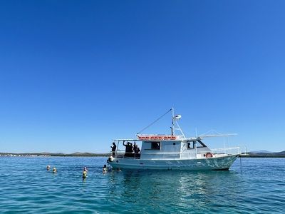 Dalmatian coast 2025   fern 30