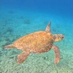 Lycian way   update 6