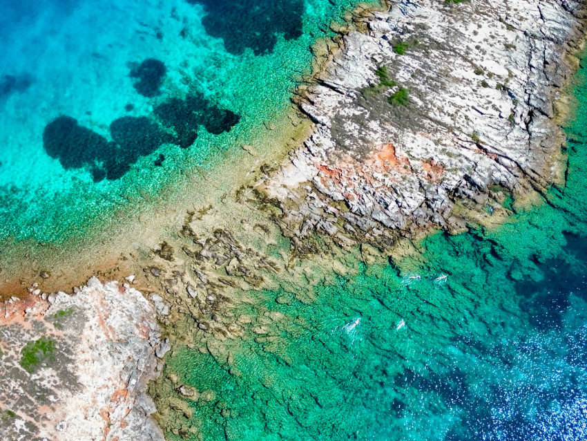 best swimming holidays for newcomers