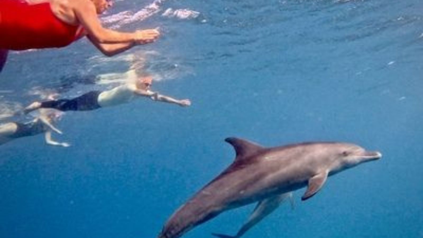 Red Sea Liveaboard
