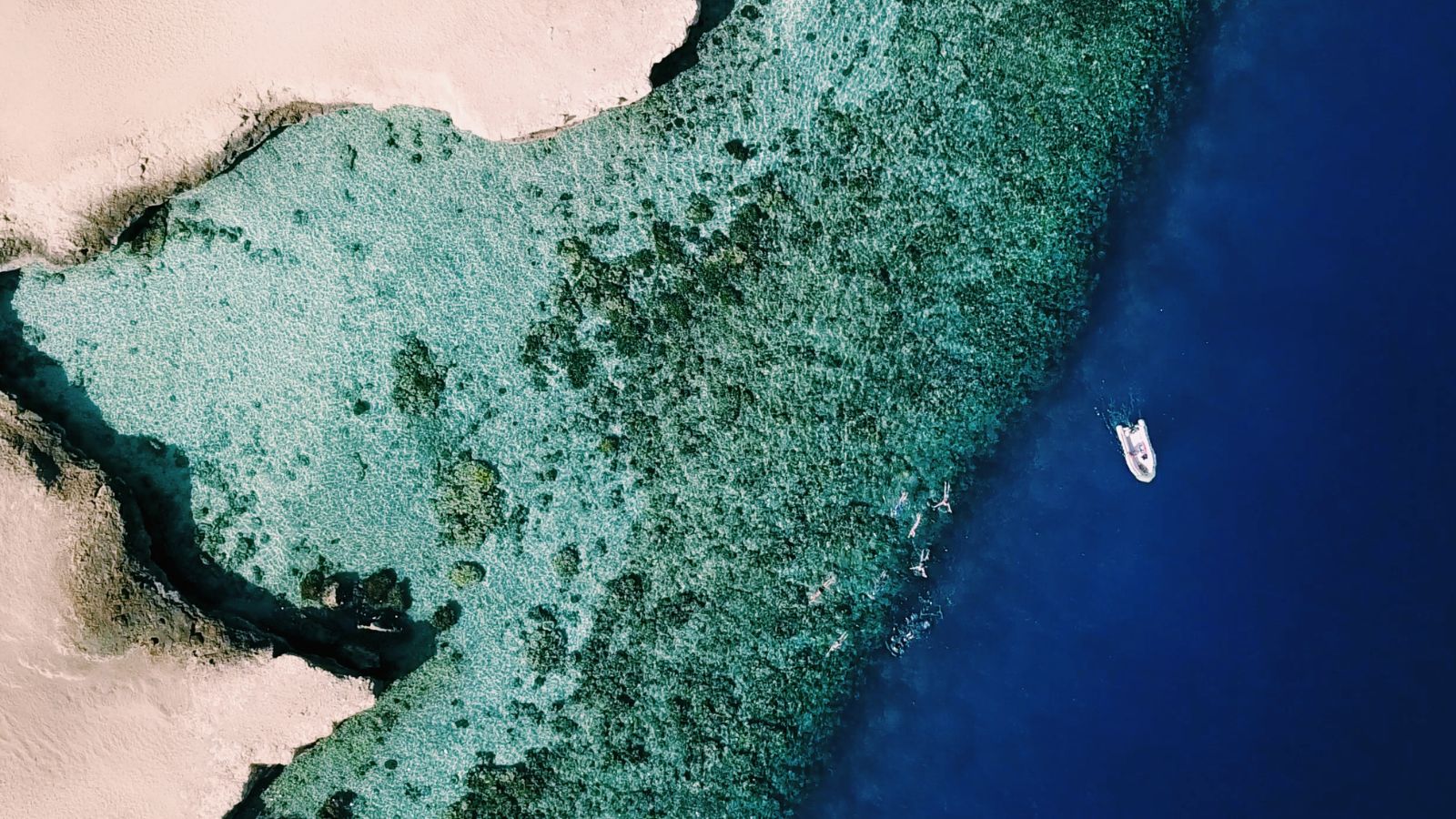 Red Sea Liveaboard