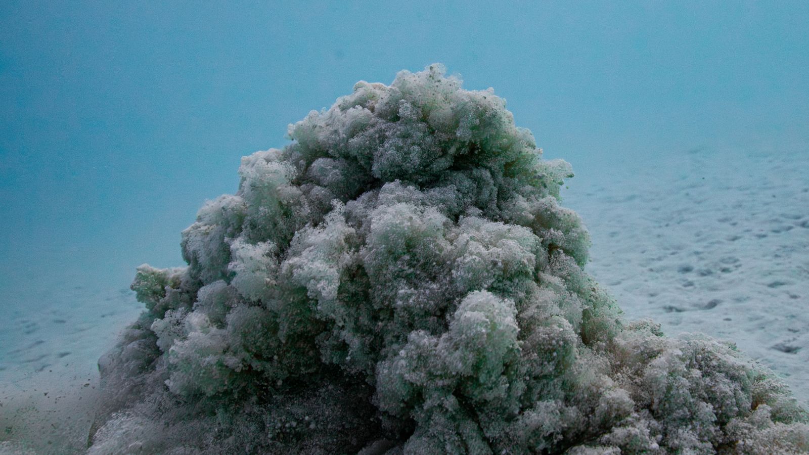 Bacalar Mexico