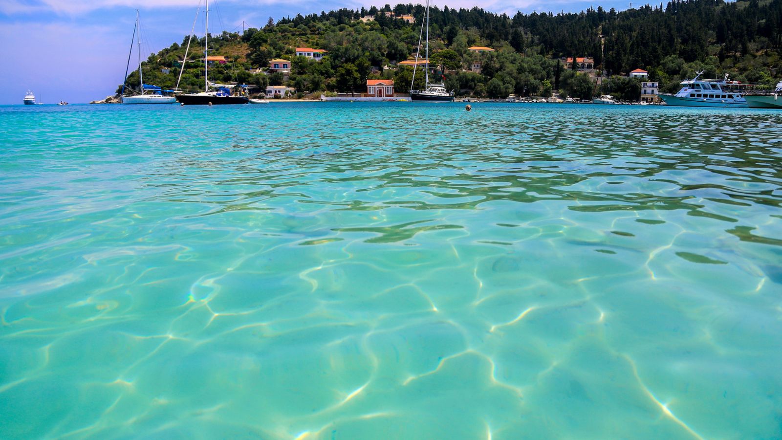 Paxos