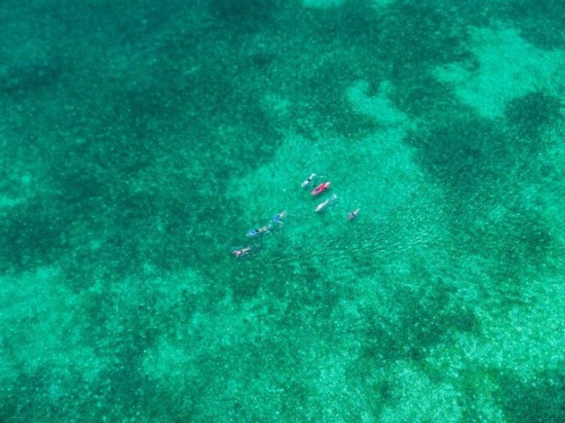 Green water