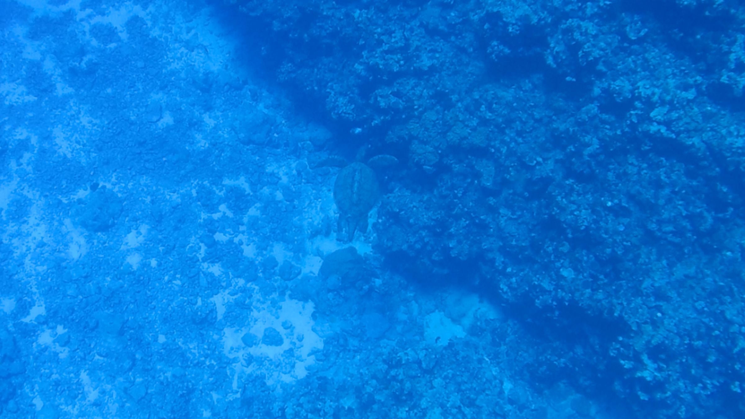 Cook Islands