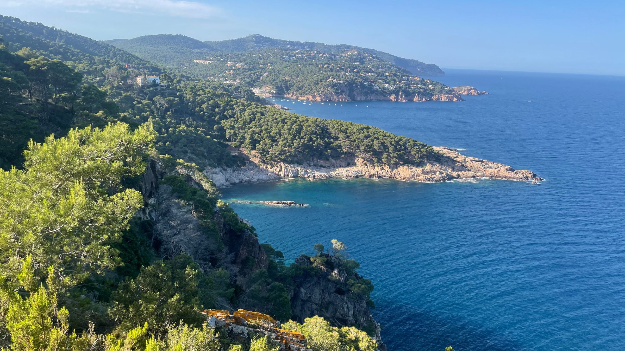 Catalan