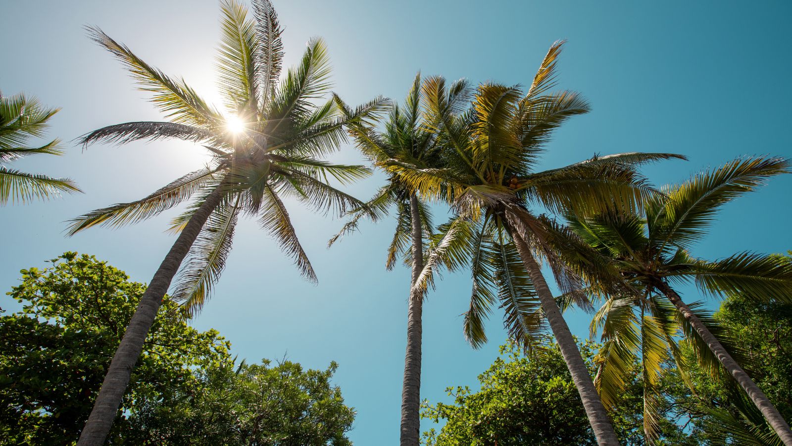Costa Rica