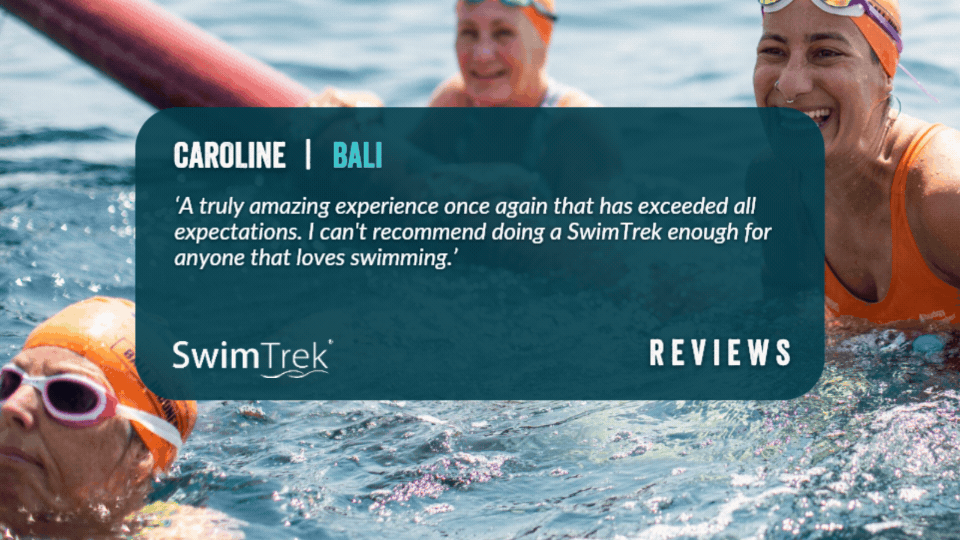 bali review gif