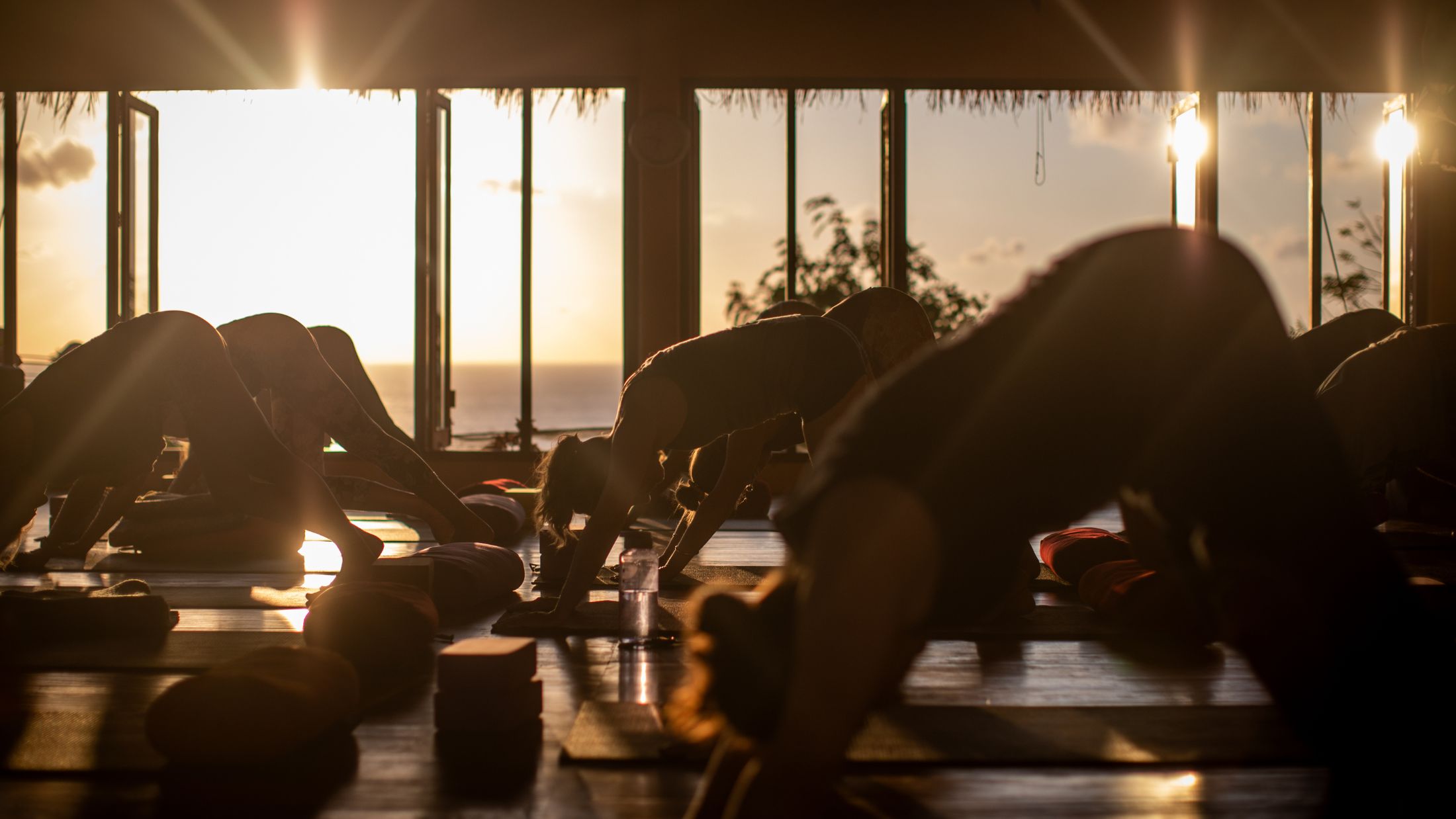 YogaSwim Bali