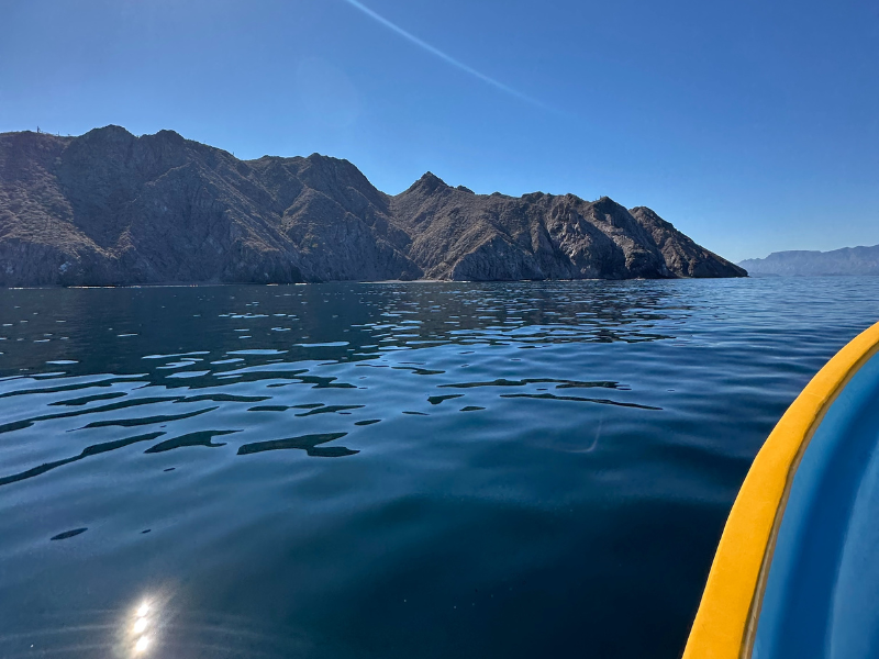 Sea of Cortez - Mexico, Mexico | SwimTrek